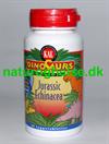DinoSaurs Jurassic Echinacea til b�rn KAL
